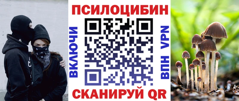 Галлюциногенные грибы Psilocybe  наркошоп  Саяногорск 
